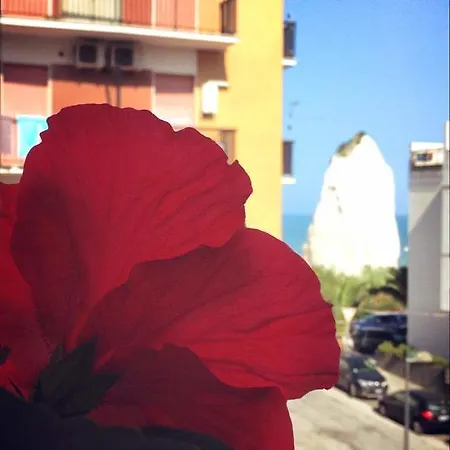 Bed & Breakfast Pizzomunno 4*